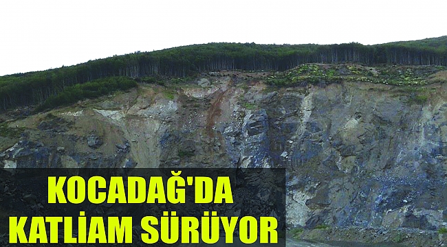 KOCADAĞ'DA KATLİAM SÜRÜYOR