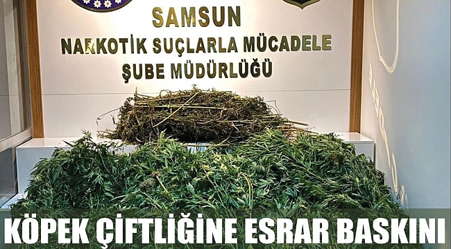 KÖPEK ÇİFTLİĞİNE ESRAR BASKINI