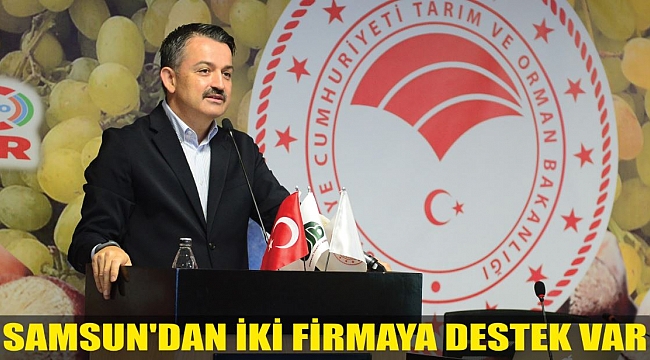 SAMSUN'DAN İKİ FİRMAYA DESTEK VAR