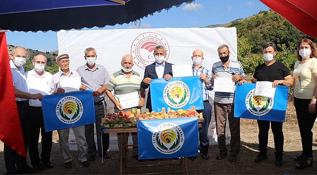 Şeftali üreticilerine EKÜY sertifikası