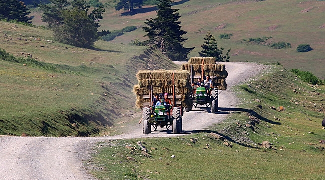 Uzunkız Yaylası'nda doğa tatili imkanı