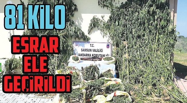 81 kilo esrar ele geçirildi