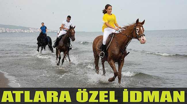 ATLARA ÖZEL İDMAN