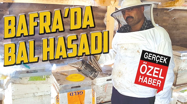 Bafra’da bal hasadı