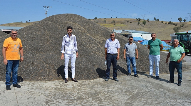 Buğday pazarında ayçiçeği hareketliliği