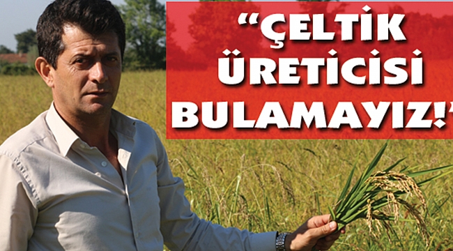 Çeltik en az 4.5 lira olmalı