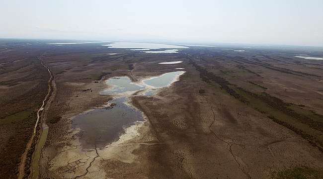 Kızılırmak Deltası'nda kuraklık tehdidi