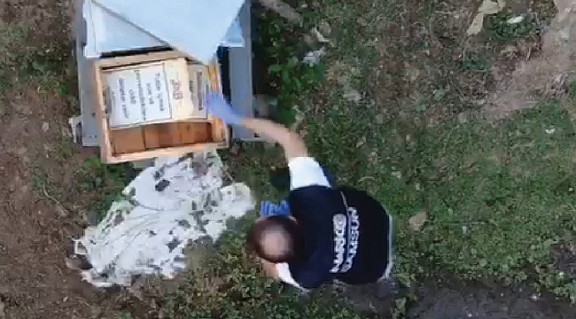 'Kraliçe arı var aramayın' 