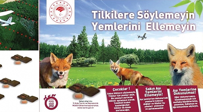 Kuduz hastalığına karşı havadan aşılama