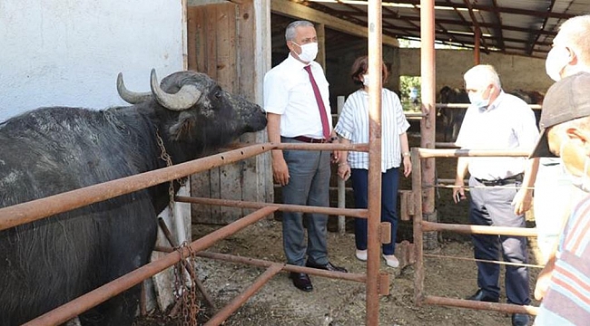 Manda projesi başladı