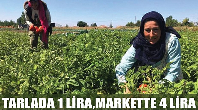 TARLADA 1 LİRA,MARKETTE 4 LİRA