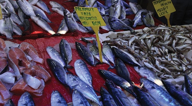 Tezgahlarda palamut sevinci