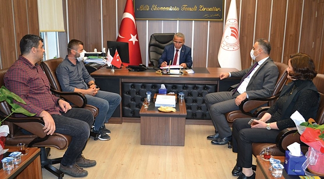 'Ari işletme' sayısı artıyor