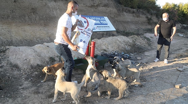 Bu kapları boş bırakmayalım