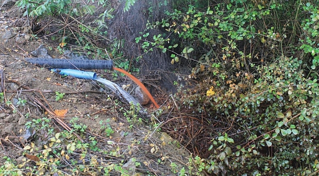 ÇARŞAMBA OVASI'NI HAŞLIYORLAR!