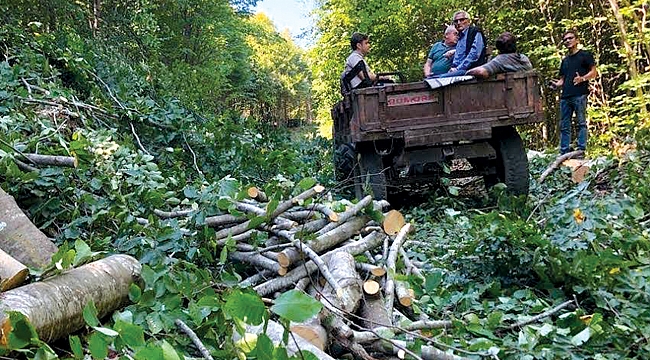 2021 Şahin Dağları’nın talan yılı olacak