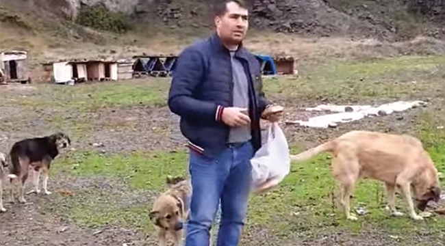 Hayvanlar için seferberlik