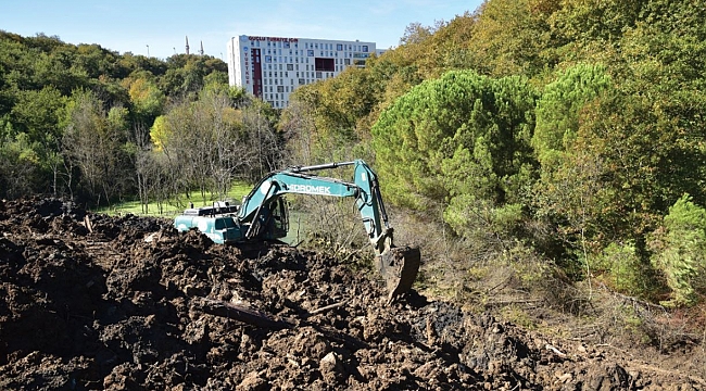 OMÜ'de yeni piknik  alanı oluşturuluyor