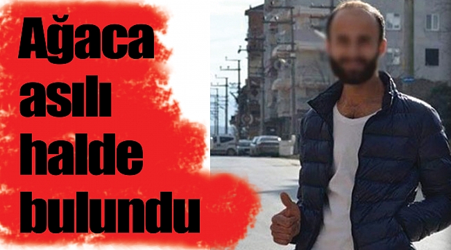 Ağaca asılı halde bulundu