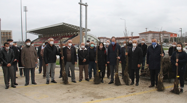 Bafra’da üreticilere 2 bin 500 ceviz fidanı dağıtıldı