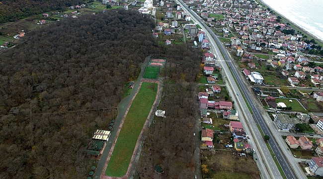 Çakırlar Korusu turist çekiyor