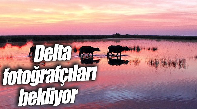 Delta fotoğrafçıları bekliyor