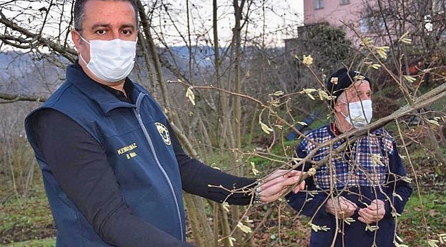 Fındık üreticilerine ‘kozalak akarı’ uyarısı