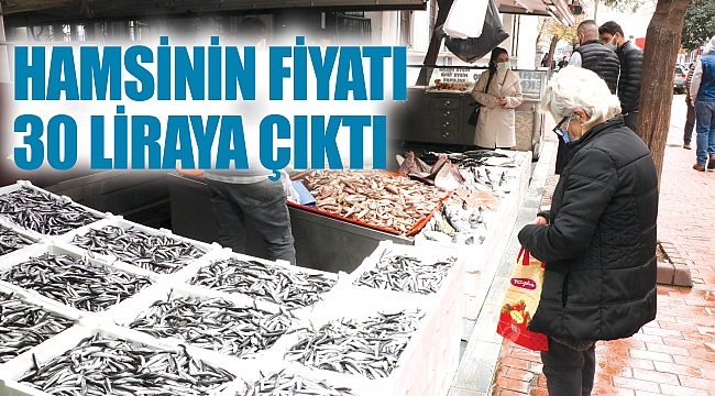 Hamsinin fiyatı 30 liraya çıktı