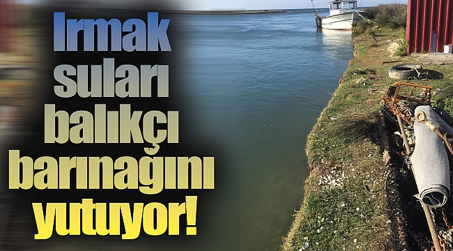 Irmak suları balıkçı barınağını yutuyor!