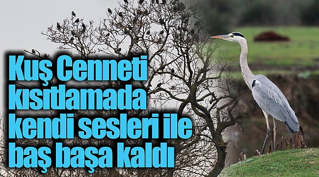 Kuş Cenneti kısıtlamada kendi sesleri ile baş başa kaldı