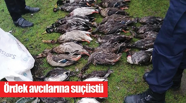 Ördek avcılarına suçüstü