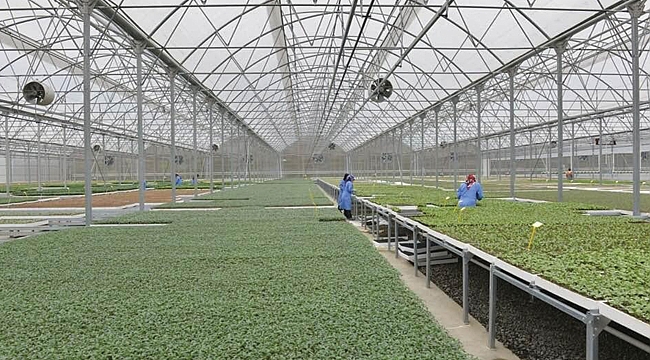 Samsun'da tarım projelerine 127 milyon liralık hibe