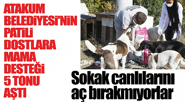 Sokak canlılarını aç bırakmıyorlar