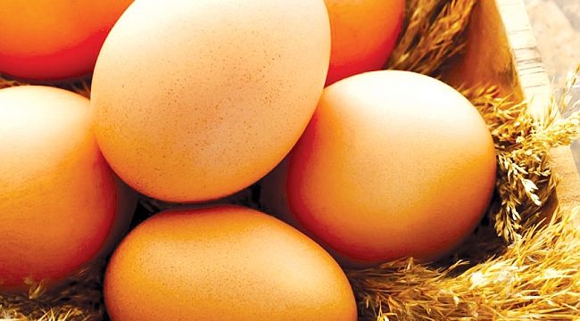 YUMURTANIN FİYATI, TAVUĞU SOLLADI: Kolisi 34 lira