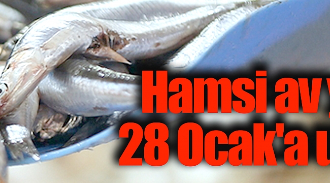 Hamsi av yasağı 28 Ocak'a uzatıldı