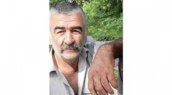 Kestiği ağaç sonu oldu