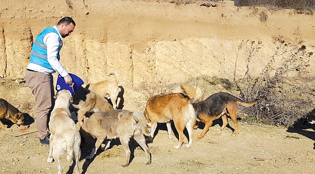 Yeni yıla da anlam kattılar