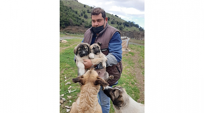 Can dostlarını sahiplendiriyorlar