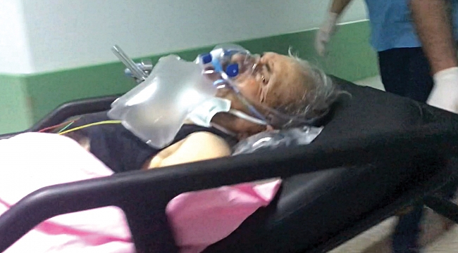 Domuz avında vuruldu