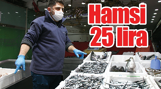 Hamsi 25 lira