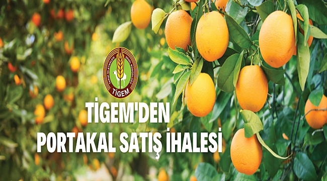 TARIM İŞLETMELERİ GENEL MÜDÜRLÜĞÜ BOZTEPE TARIM İŞLETMESİ MÜDÜRLÜĞÜ PORTAKAL(VALENCİA) SATIŞ İHALESİ İLANIDIR