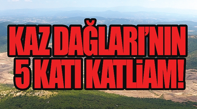KAZ DAĞLARI’NIN 5 KATI KATLİAM!
