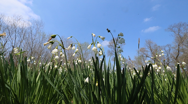 Doğadan koparmayın