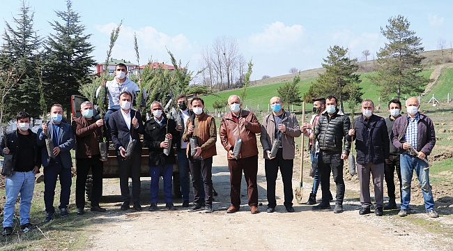 Havza'da ağaçlandırma çalışması