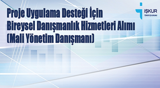 İSDEP BİREYSEL MALİ YÖNETİM DANIŞMANLIĞI İLAN METNİ