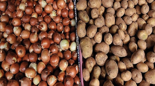 Müjde çiftçiyi sevindirdi