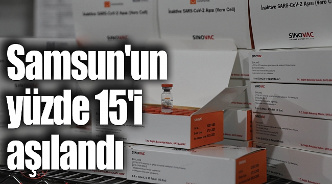 Samsun'un yüzde 15'i aşılandı