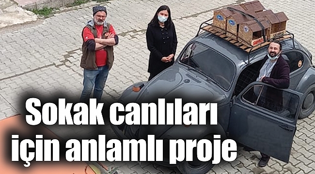 Sokak canlıları için anlamlı proje