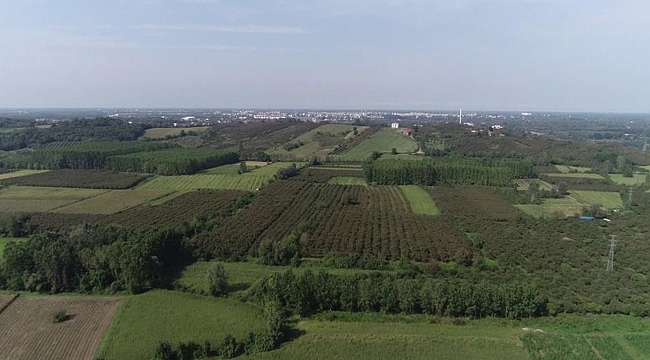 36 bin üreticiye 86 milyon lira