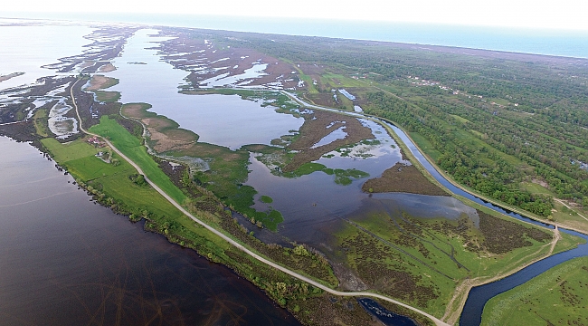 Kızılırmak Deltası ziyaretçilerini bekliyor